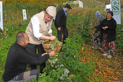 OSMANGAZİ AHUDUDU ÜRETİMİNDE HEDEF BÜYÜTTÜ