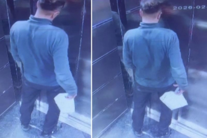 ASANSÖRDEKİ KÖTÜ KOKUNUN KAYNAĞI KURYENİN İDRARI ÇIKTI