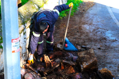 BODRUM BELEDİYESİ’NDEN ÇEVRE KİRLİLİĞİNE SIKI DENETİM