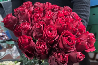 KIRMIZI GÜLÜ YAĞIŞ VURDU: SEVGİLİLERE KENYA GÜLÜ