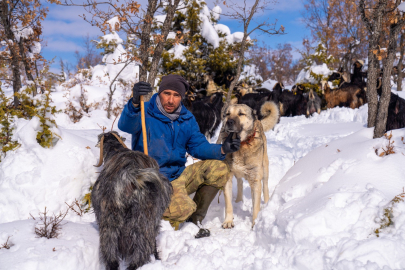 ÖLDÜRÜLEN KÖPEĞİNE OTOPSİ YAPTIRDI SORUMLULARI ARIYOR