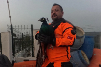 İZMİR BÜYÜKŞEHİR İTFAİYESİNDEN CAN KURTARAN OPERASYON