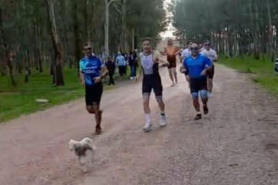 KORSAN YARIŞMACI KUZU PARKURA GİRDİ,  KOŞUCULARLA YARIŞTI