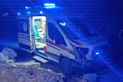 HASTA TAŞIYAN AMBULANS ATA ÇARPTI