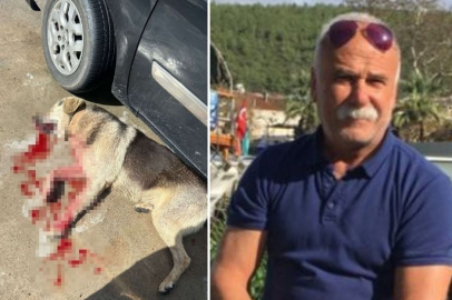 TAVUKLARINI YİYEN KÖPEKLERİ ÖLDÜRÜNCE TUTUKLANDI