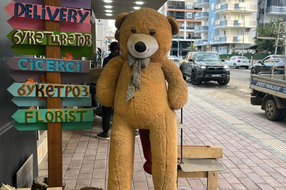 KAPIYA 100 LİRA BIRAKIP 5 BİN LİRALIK PELÜŞ AYIYI ÇALDILAR