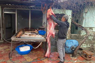 2 METRE 98 KİLO YAYIN BALIĞI YAKALANDI