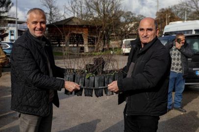 BURSA'DA BÜYÜKŞEHİR DESTEKLİYOR, ÇİFTÇİ GÜÇLENİYOR