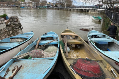 İSRAİL SAZANI ÖNEMLİ BİR GELİR KAYNAĞI OLDU