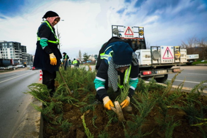 BURSA BÜYÜKŞEHİR’DEN REFÜJLERDE PEYZAJ ATAĞI
