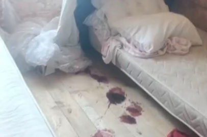 YAYLA EVİNE GİREN AYI ORTALIĞI SAVAŞ ALANINA ÇEVİRDİ