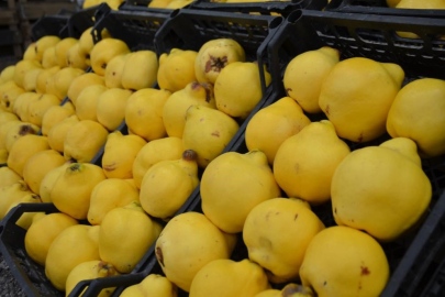 AYVAYI YİYEMEDİK...KİLOSU 300 LİRAYA DAYANDI; LÜKS OLDU