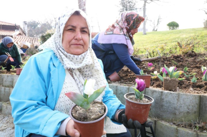 OSMANGAZİ YAZ-KIŞ ÇİÇEK BAHÇESİ GİBİ