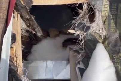 AYILAR BU KEZ YAYLA EVİNE ÇATIDAN GİRDİ