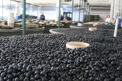 MARMARABİRLİK'TEN ÜRETİCİYE SON ÖDEME 17 NİSANDA