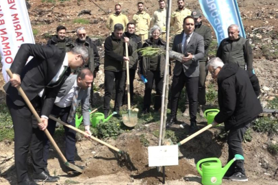 BURSA ORMANLARI KÜLLERİNDEN DOĞUYOR