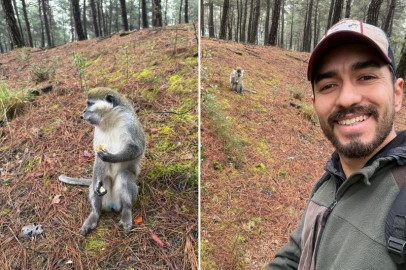 DENİZLİ’DEKİ KAÇAK MAYMUNLARIN SIRRI ÇÖZÜLDÜ