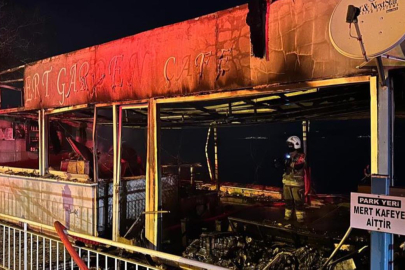 GEMLİK SAHİLİNDE GECE YARISI YANGIN PANİĞİ