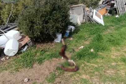 ZABITA BASKININDA DEHŞET: 10 TON HURDA VE HAYVAN LEŞLERİ