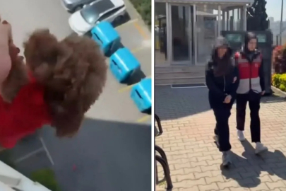 KÖPEĞİ CAMDAN SARKITTI O ANLARI KAYDA ALDI