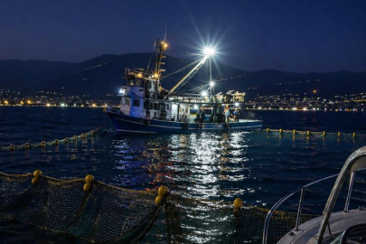 GEMLİK KÖRFEZİ’NDE SARDALYA SEZONU BAŞLADI