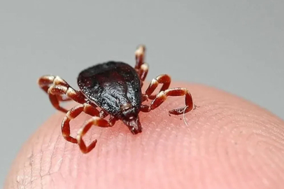 KENE KABUSU GERİ DÖNDÜ: 21 YAŞINDAKİ GENÇ HAYATINI KAYBETTİ