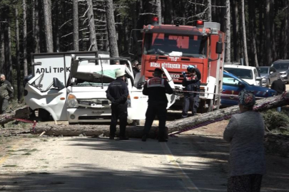 BURSA'DA KESİLEN AĞAÇ, ARACIN ÜZERİNE DÜŞTÜ