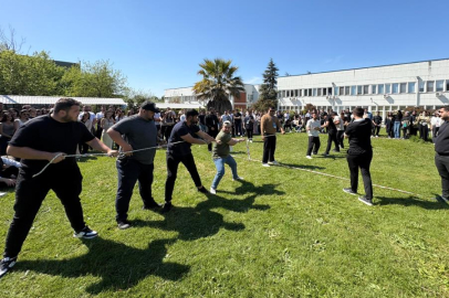 TOMURCUK ŞENLİĞİNDE RENKLİ GÖRÜNTÜLER OLUŞTU