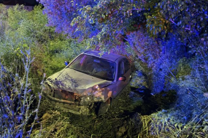 BURSA'DA OTOMOBİL ZEYTİNLİĞE UÇTU