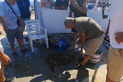 DENİZ ARACININ ÇAPTIĞI CARETTA CARETTA TEDAVİ ALTINDA
