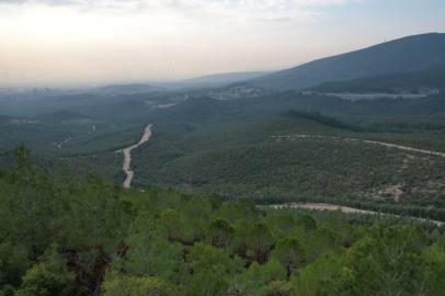 İZMİR’DE ORMANLARA GİRİŞ YASAĞI BAŞLADI