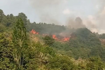 BURSA'DA ORMAN YANGINI KORKUTTU