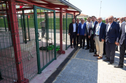 YENİŞEHİR'DE SAHİPSİZ SOKAK HAYVANLARINA MODERN YUVA
