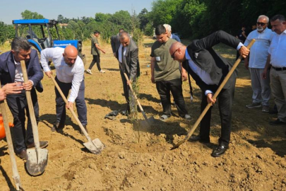 BURSA'DA BİN 160 ZEYTİN FİDANI TOPRAKLA BULUŞTU