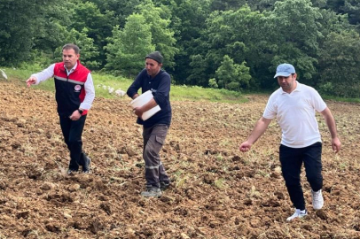 ORHANELİ'NDE BOŞ TARIM ARAZİSİ KALMAYACAK