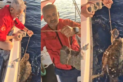 'VİCDANSIZLAR CARETTA CARETTANIN AYAĞAĞINA TAŞ BAĞLAMIŞ'