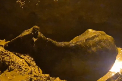 İNEK BELEDİYENİN KAZDIĞI ÇUKURA DÜŞTÜ