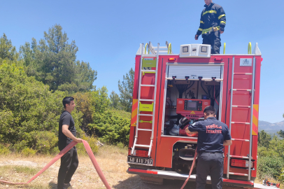 MUĞLA'DA ORMAN YANGINI FACİAYA DÖNÜŞMEDEN ENGELLENDİ