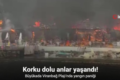 BÜYÜKADA VİRANBAĞ PLAJI'NDA KORKUTAN YANGIN