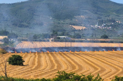 GEMLİK SERBEST BÖLGE YAKININDA YANGIN