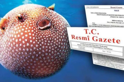 ZEHİRLİ BALON BALIĞI AVCILIĞINA DESTEK ARTIRILDI