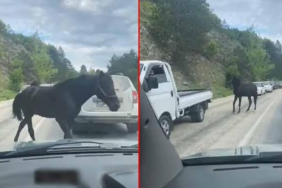 BURSA'DA BAŞIBOŞ ATLAR TRAFİĞE ATLADI