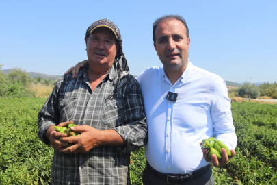 İZMİR'DEN URFA'YA İDDİALI ÇAĞRI: GELİN ACIMIZI YARIŞTIRALIM!