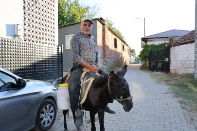 EHLİYET ALMAYAN AYHAN AMCA SÜTÜNÜ KARAKAÇANIYLA DAĞITIYOR!