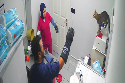 BURSA'DA VETERİNERİ BİRBİRİNE KATAN KEDİ