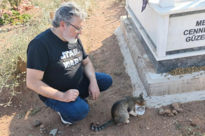AYDIN'DA VEFALI KEDİ, MEZARLIKTAN ÇIKMIYOR