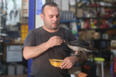 BURSA'DA KARGA İLE TAMİRCİNİN SIRADIŞI DOSTLUĞU ŞAŞIRTIYOR