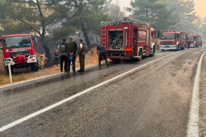 BALIKESİR YANGINI NEDENİYLE AYVALIK-BERGAMA YOLU KAPATILDI