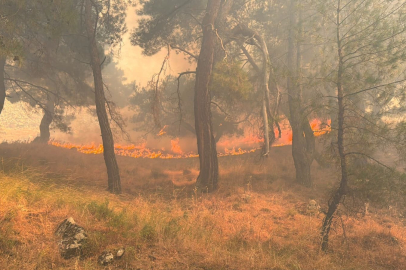 BALIKESİR'DE YANGIN ÇIKARAN 2 KİŞİ TUTUKLANDI