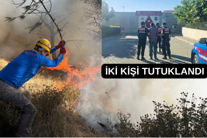 FAİLLERİ BELLİ OLDU: GÖMEÇ YANGINI BAKIN NEDEN ÇIKMIŞ